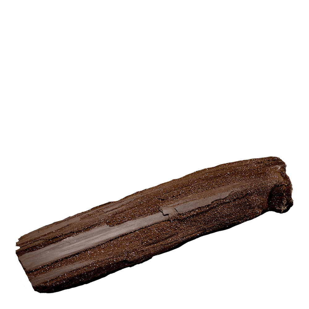 Petrified Wood
