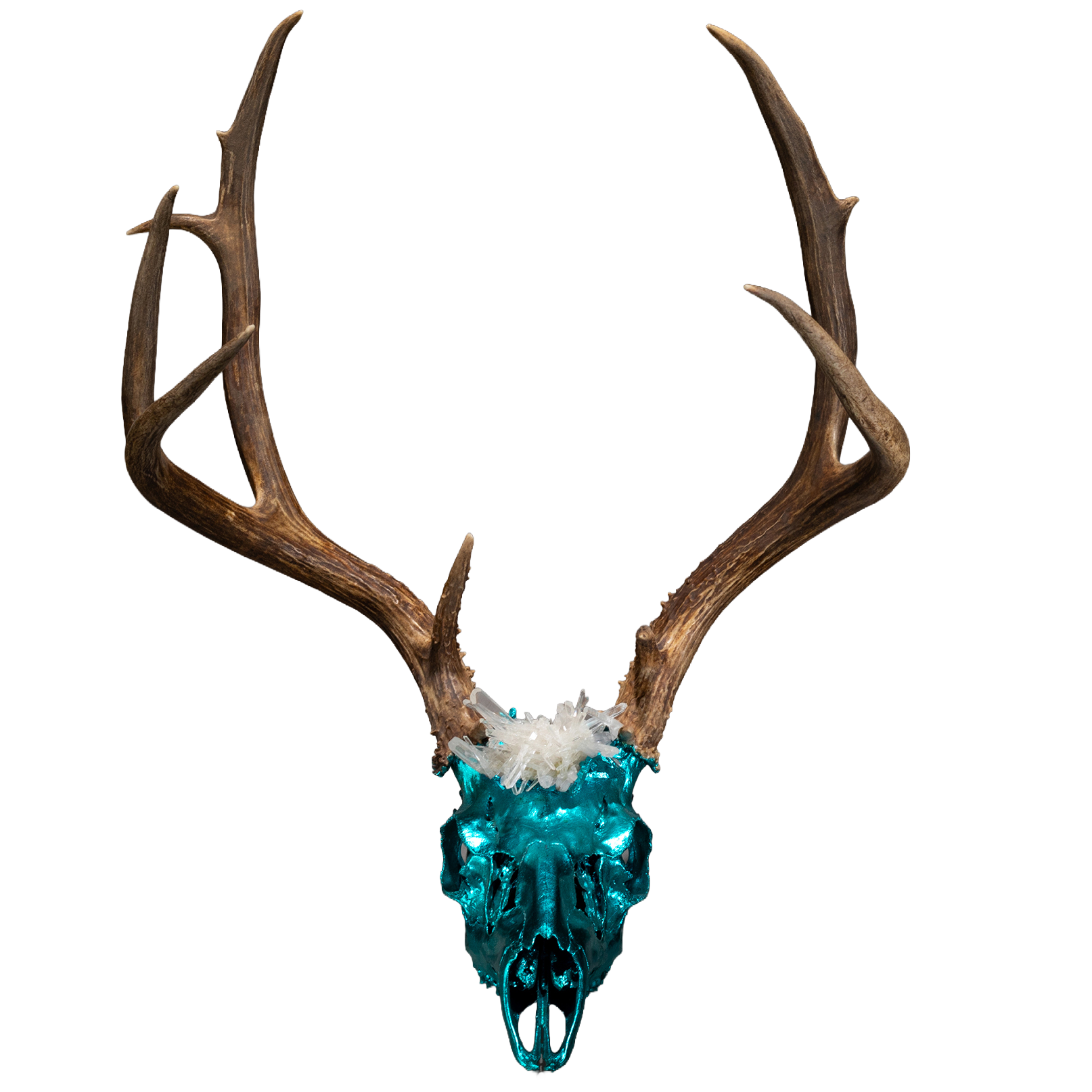 Blue Skull Wall Mount