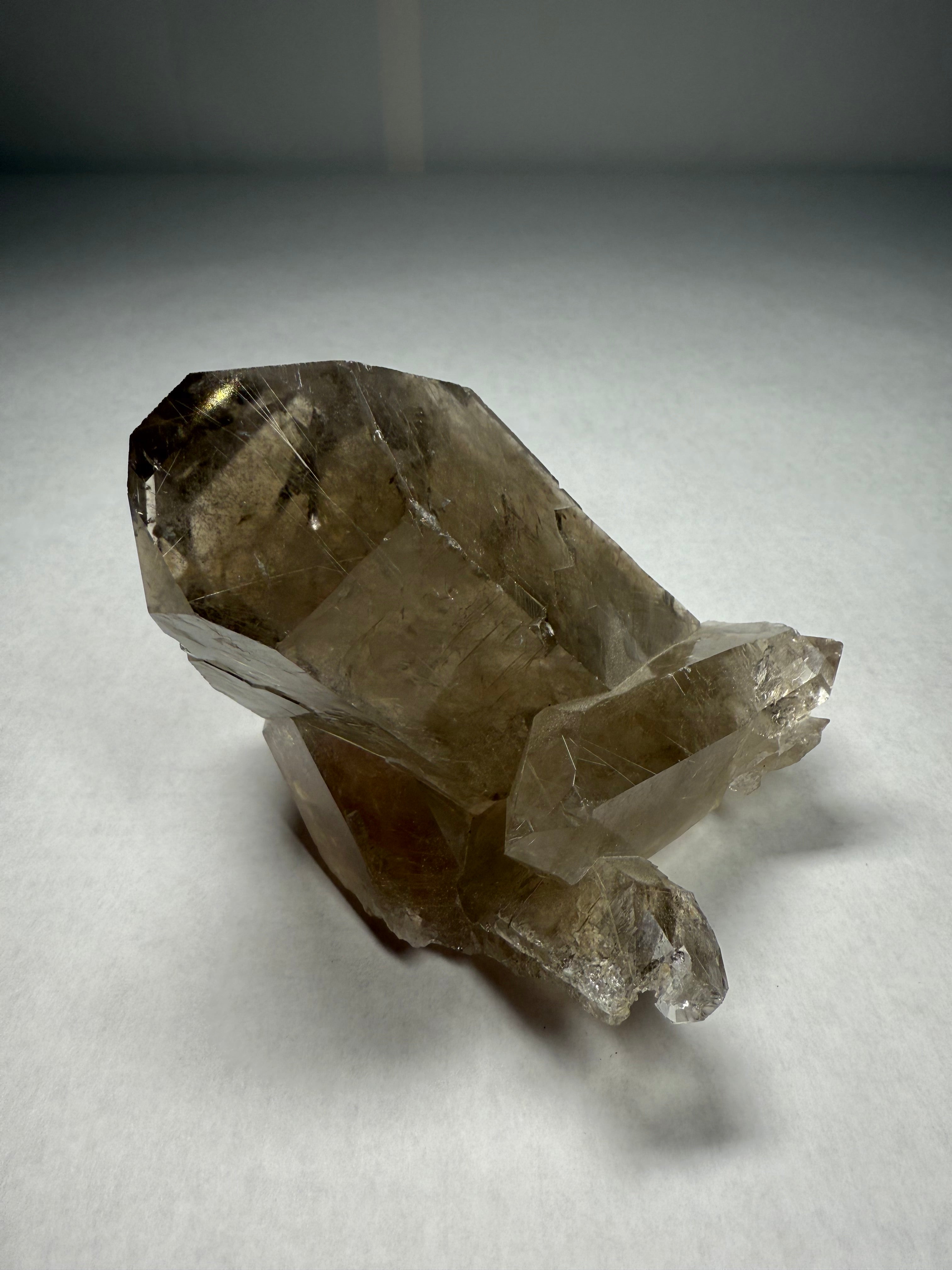 Alligator (Skeletal) Quartz