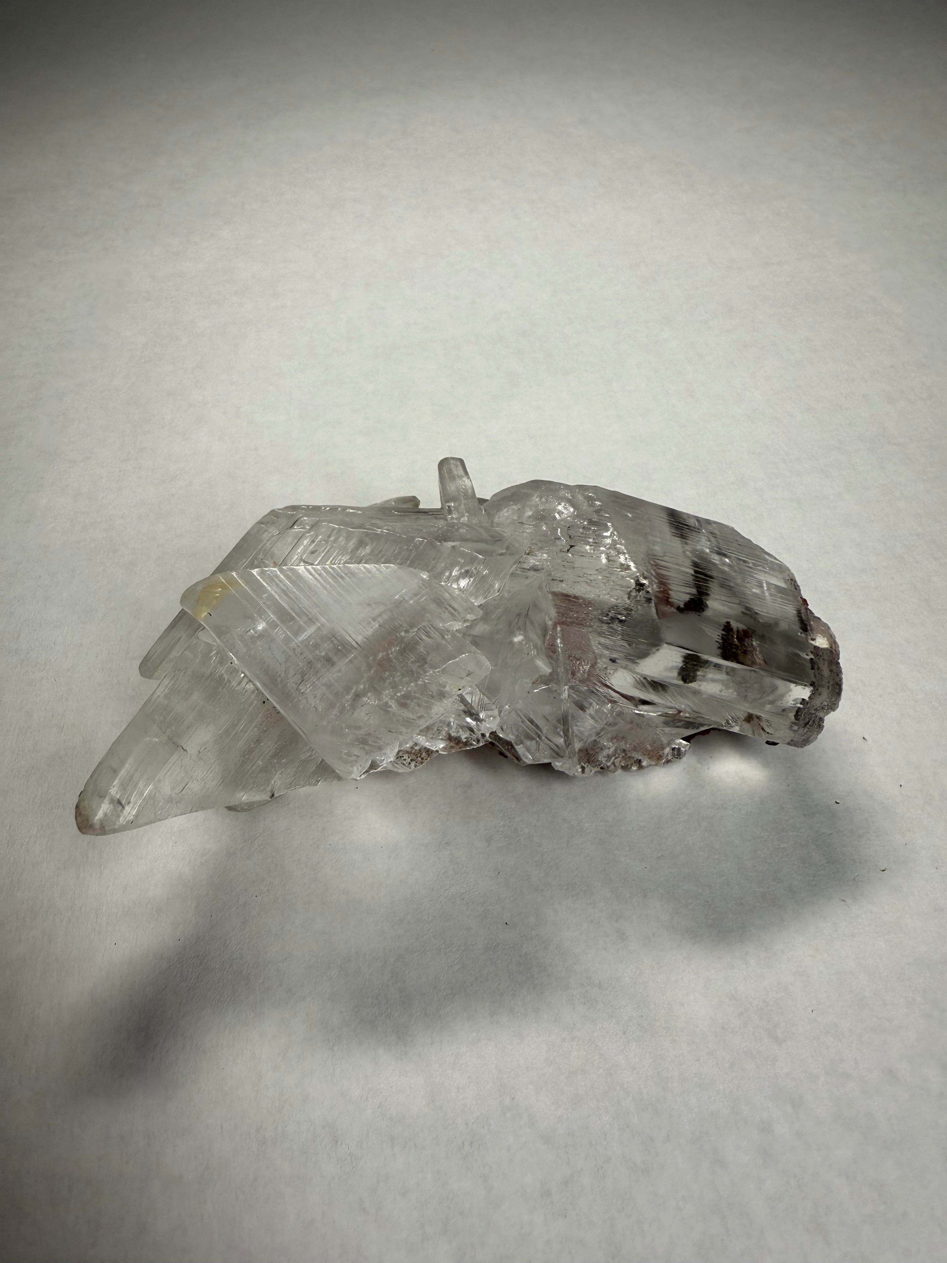 Sélénite (Chihuahua, Mexique)