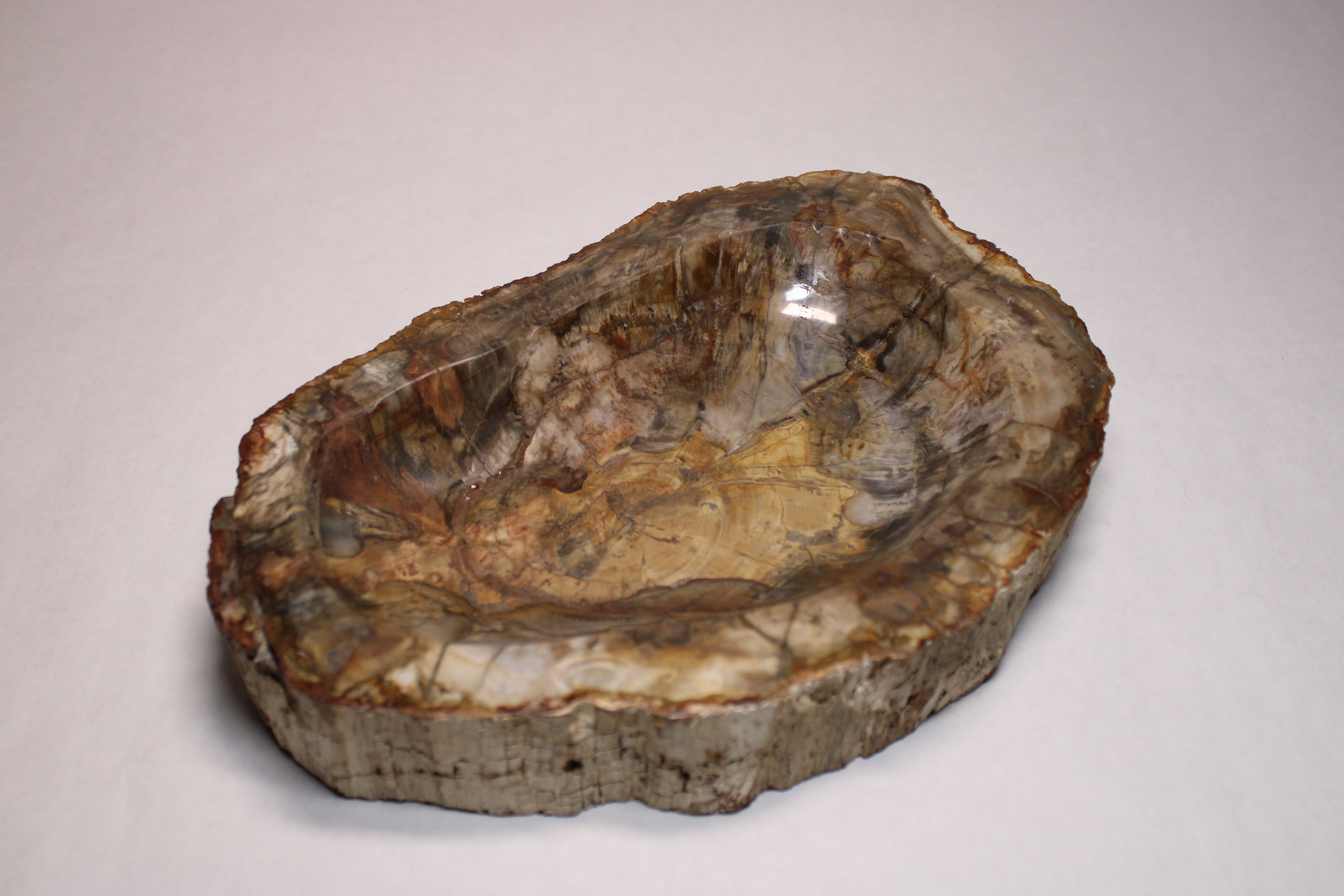 Petrified Wood Bowl