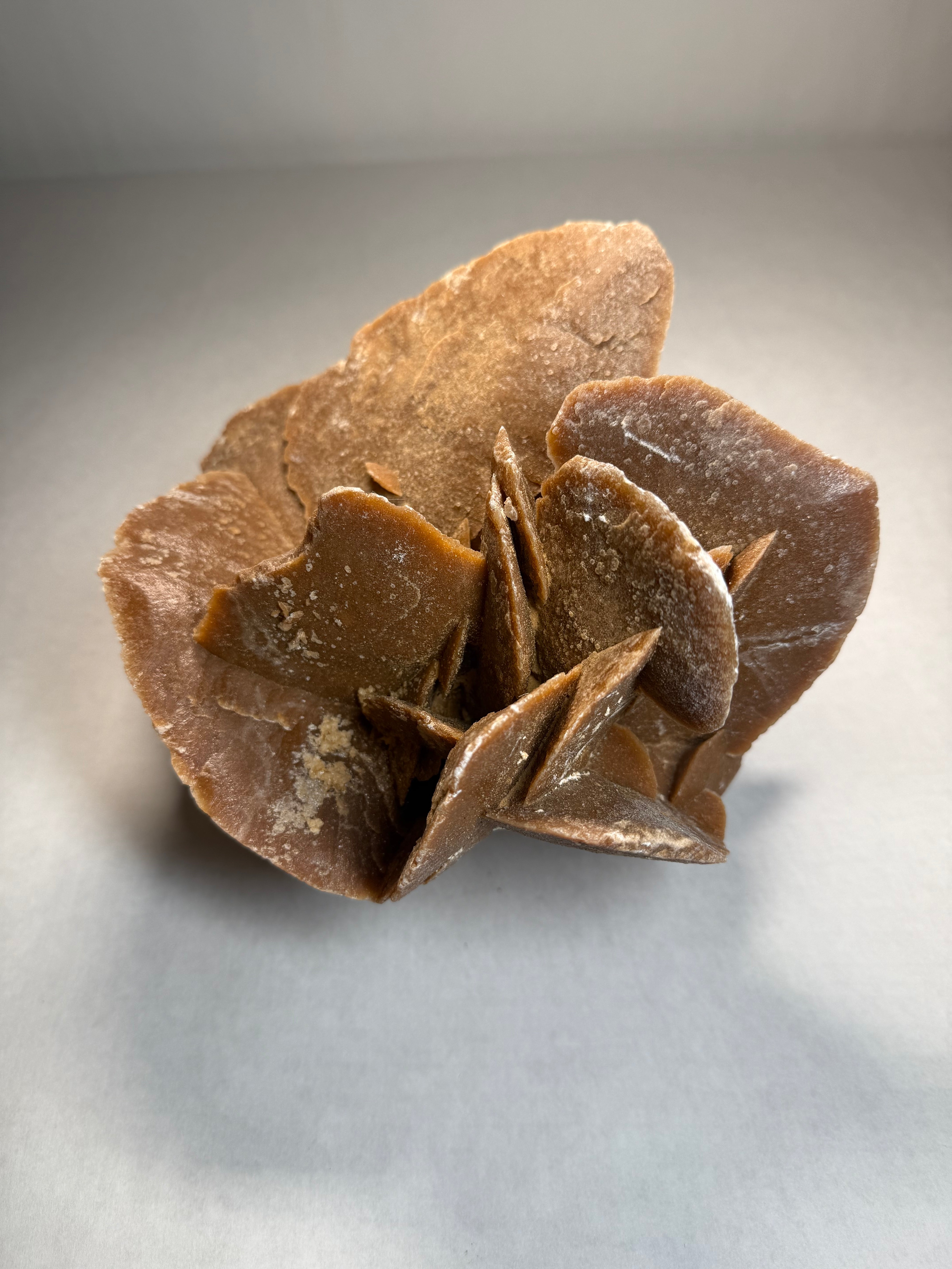 Gypsum Rose